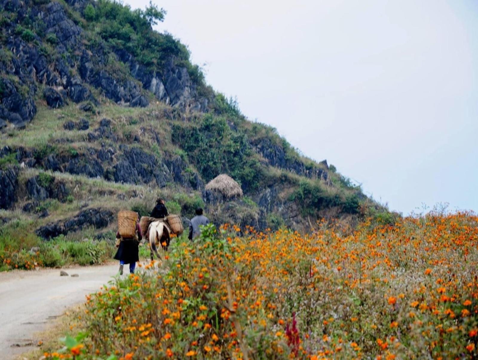 Hang Thuong Hostel - Motorbikes And Tour Ha Giang Exterior foto